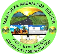 Maamulka Jigjiga